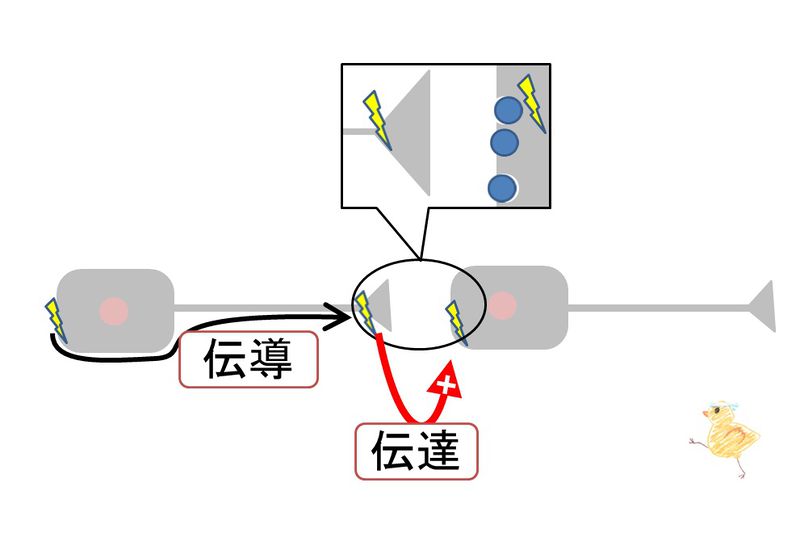 ファイル:04249.jpg