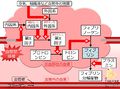 2013年5月30日 (木) 15:03時点における版のサムネイル