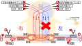 2025年3月10日 (月) 15:55時点における版のサムネイル