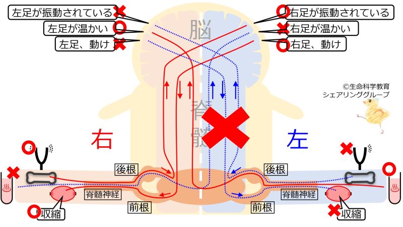 ファイル:002100.jpg