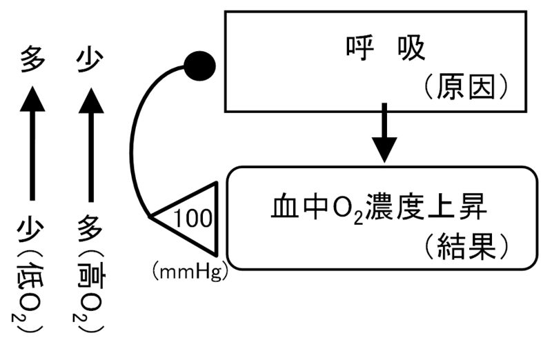 ファイル:01366.jpg