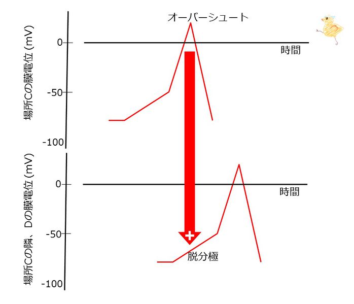 ファイル:04359.jpg