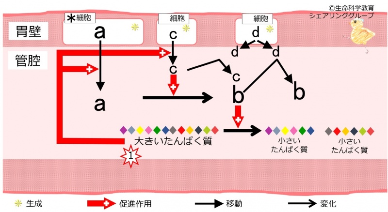 ファイル:04554.jpg