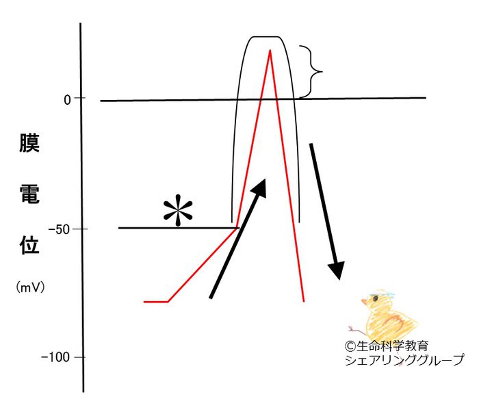 ファイル:04566.jpg
