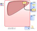 2014年7月23日 (水) 11:21時点における版のサムネイル