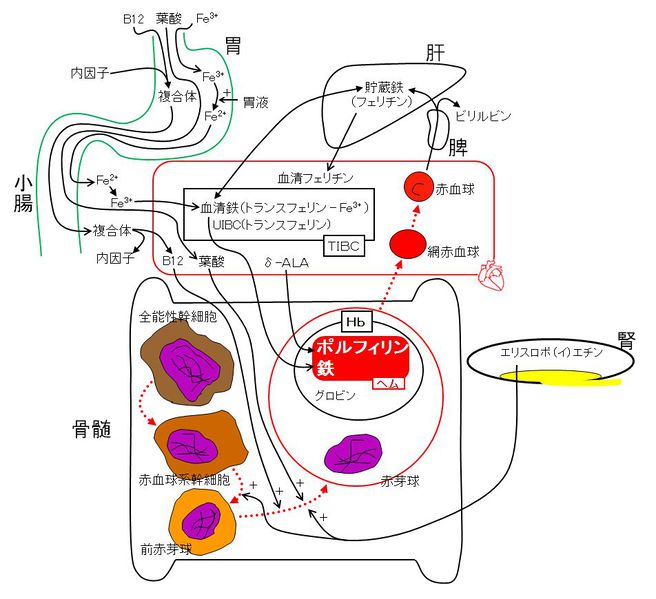ファイル:00402.jpg