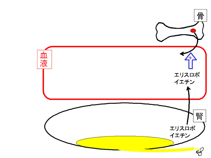 ファイル:01343.jpg