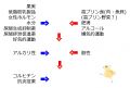 2023年8月3日 (木) 20:04時点における版のサムネイル