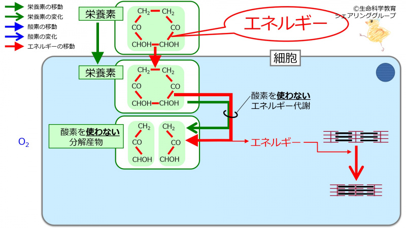 ファイル:04724-wb.jpg
