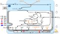 2025年2月13日 (木) 17:20時点における版のサムネイル