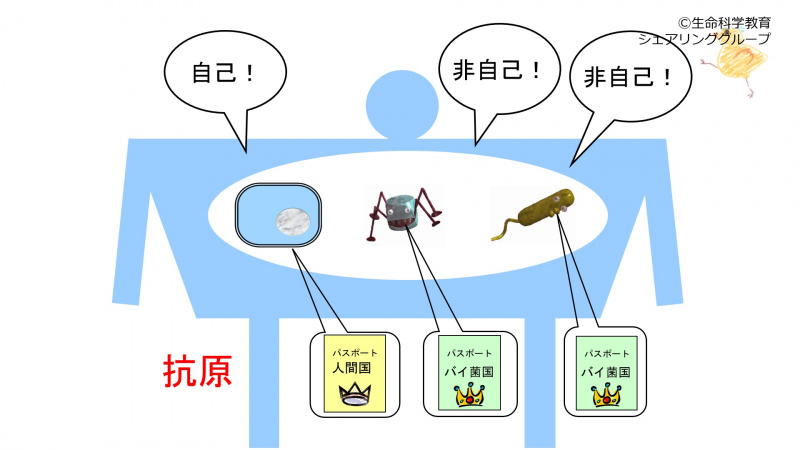 ファイル:01642.jpg