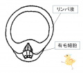 2022年3月9日 (水) 13:23時点における版のサムネイル
