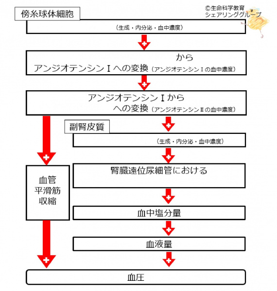 ファイル:RAA全体像文字ベース-wb.jpg