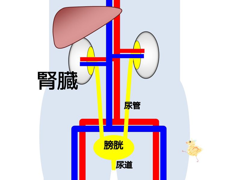 ファイル:04073.jpg