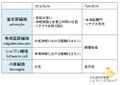 2014年10月14日 (火) 22:15時点における版のサムネイル