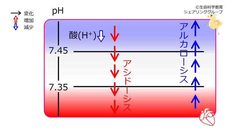 ファイル:00649-wb.jpg