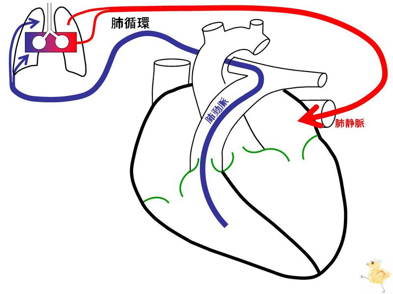ファイル:01702.jpg