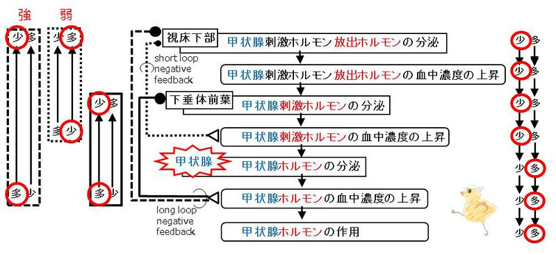 ファイル:01862.jpg