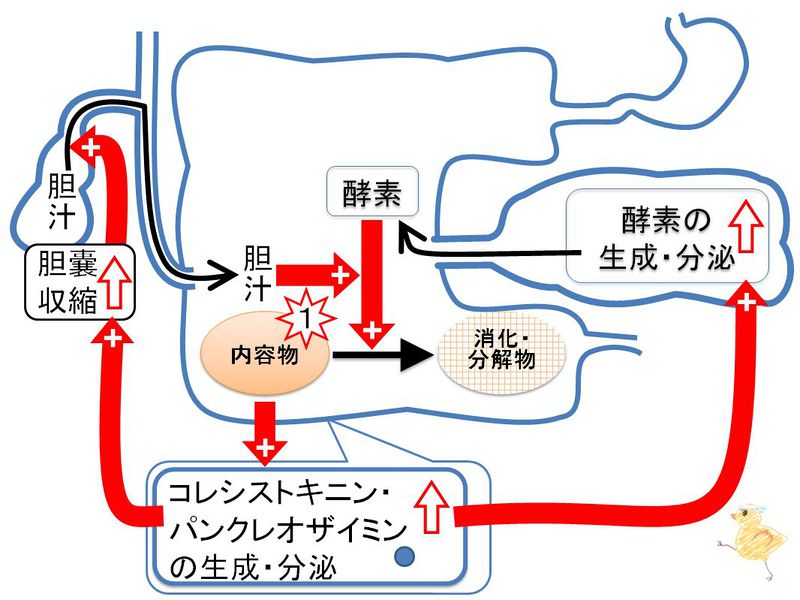 ファイル:03385.jpg