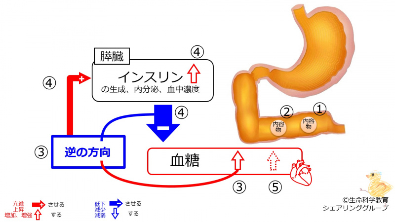 ファイル:03900.jpg