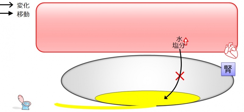 ファイル:CKDsaltwater.jpg