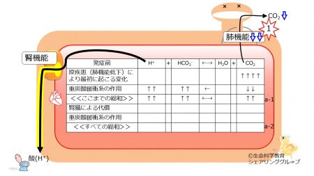 Respiratory-acidosis-no-compensation.jpg