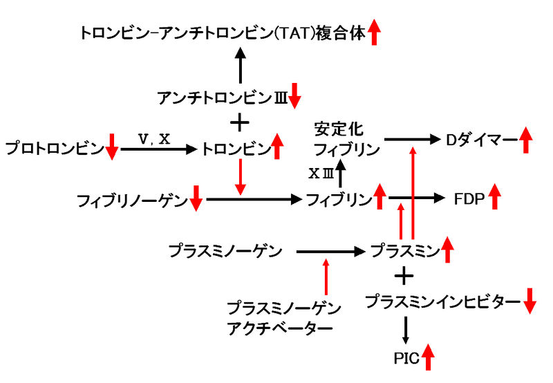ファイル:00538.jpg