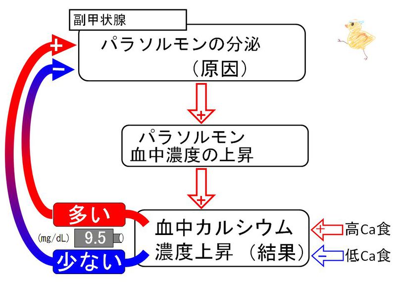 ファイル:00738.jpg
