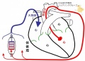 2016年11月30日 (水) 18:22時点における版のサムネイル