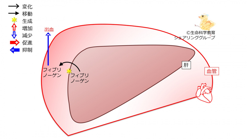 ファイル:03870-wb.jpg
