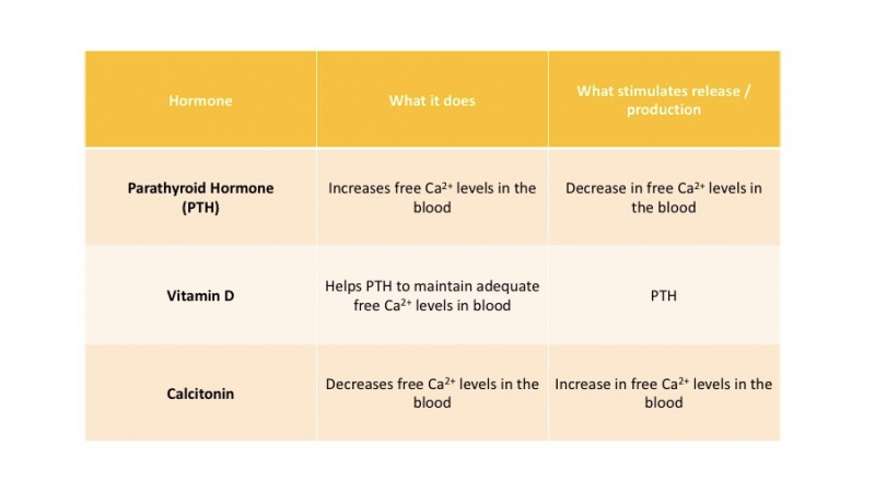 ファイル:HormonesCaHomeostasis.jpg
