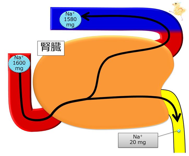 ファイル:04251.jpg