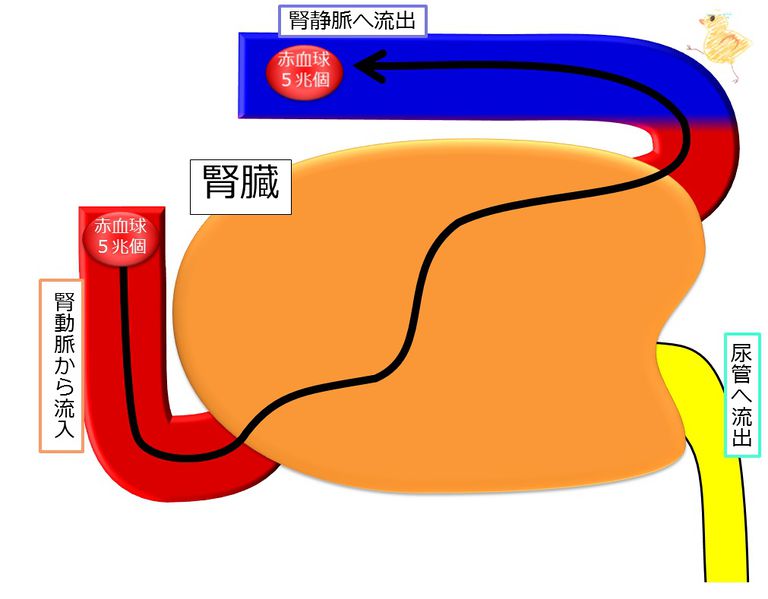 ファイル:04278.jpg