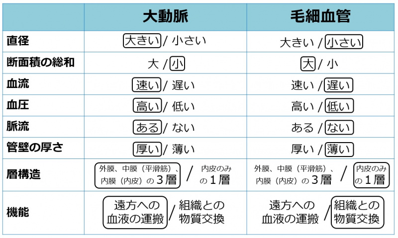 ファイル:04459.jpg