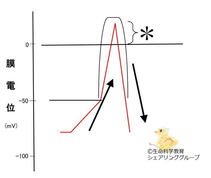 ファイル:04565.jpg