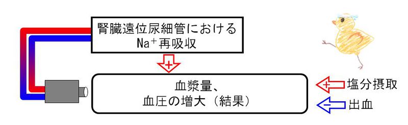 ファイル:00341.jpg