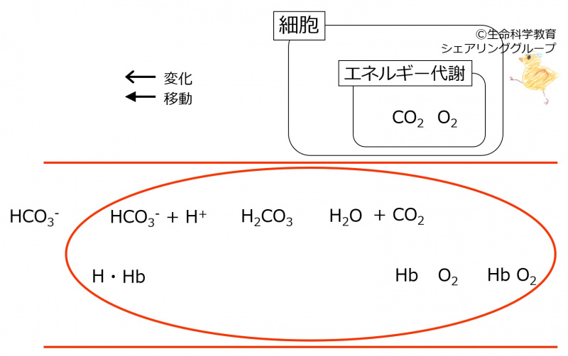 ファイル:00377-wb.jpg