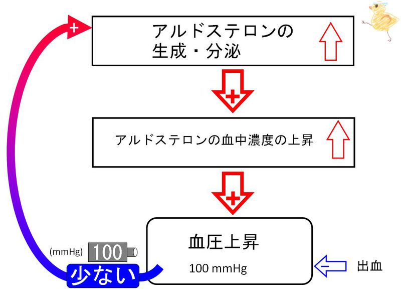 ファイル:00615.jpg