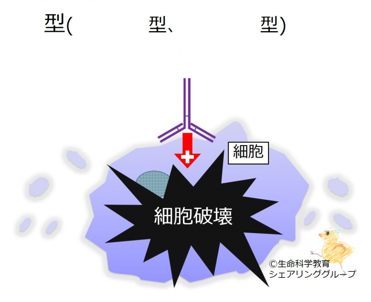 ファイル:04280-wb.jpg