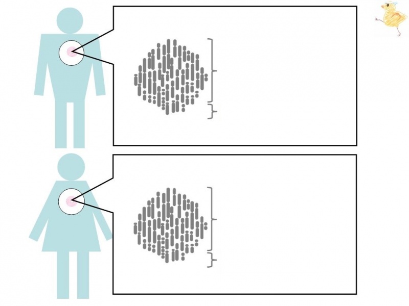 ファイル:01658-wb.jpg