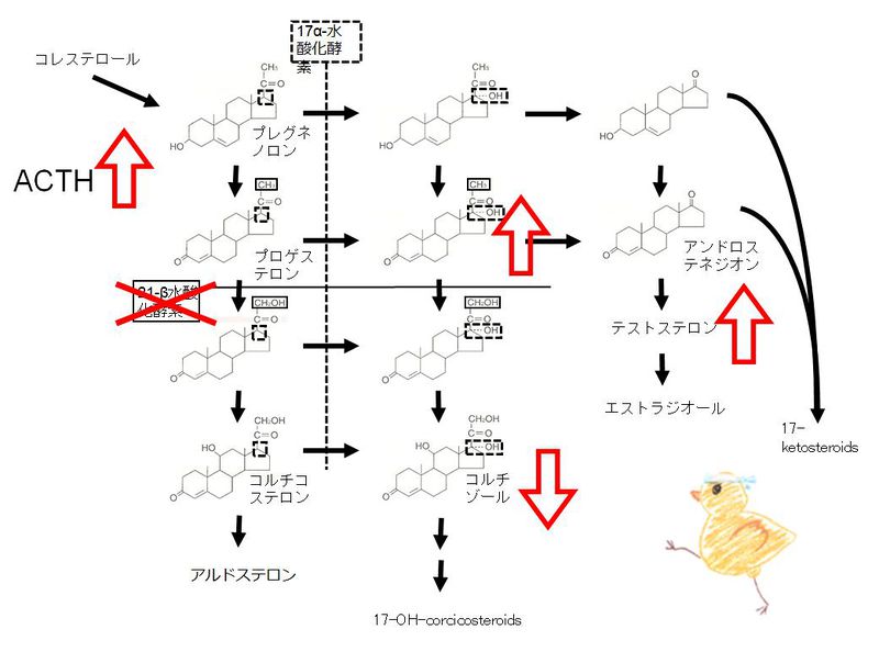 ファイル:01865.jpg