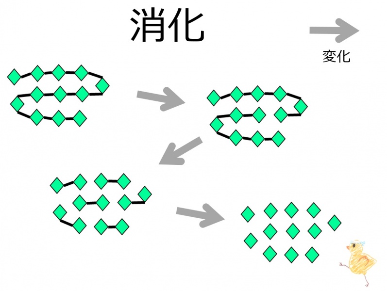 ファイル:02620.jpg