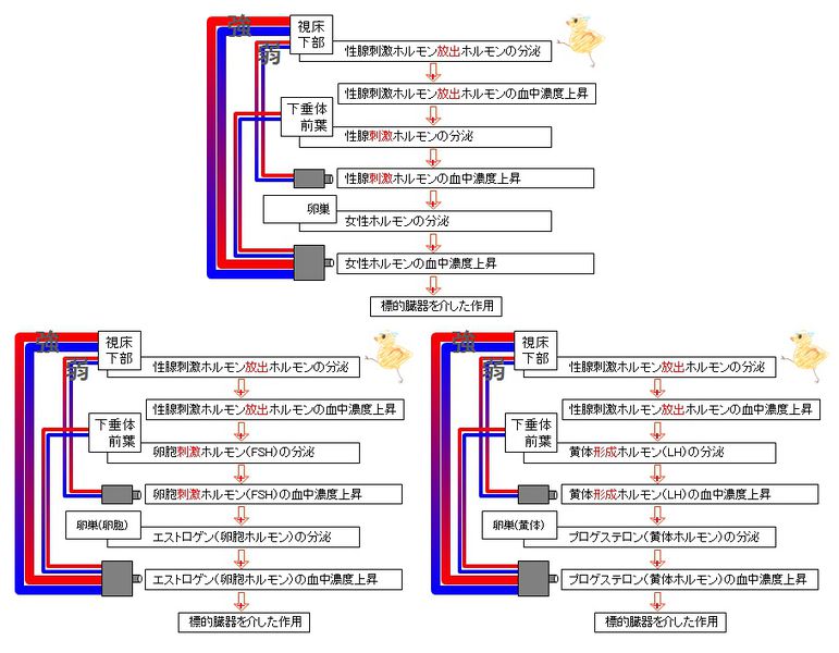 ファイル:03408.jpg