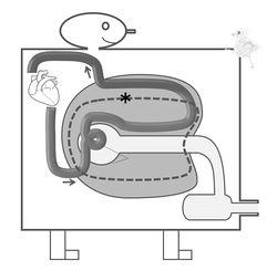 /wiki/images/thumb/2/2e/04078.jpg/250px-04078.jpg
