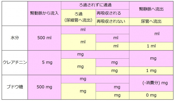 Nephron summary table-wb.jpg