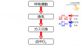 2021年3月16日 (火) 11:50時点における版のサムネイル