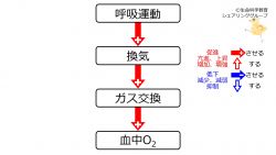 /wiki/images/thumb/2/2e/VentO2.jpg/250px-VentO2.jpg