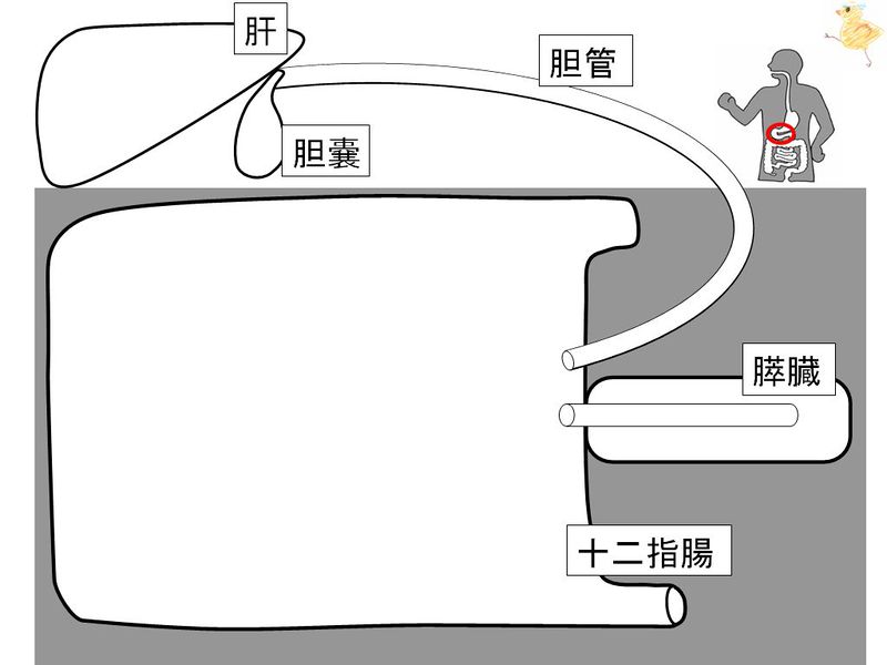 ファイル:01444.jpg