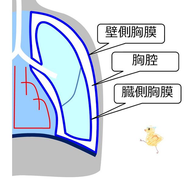 ファイル:03681.jpg