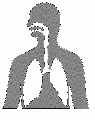 00669.gif